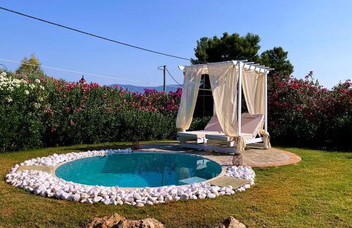 Villa dell'Olio - Foto 51