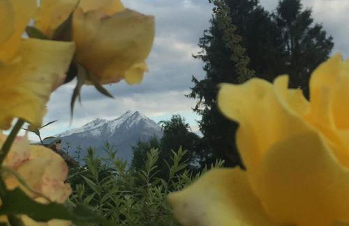 Happy hill - appartamento Bambù- natura e relax - Photo 59