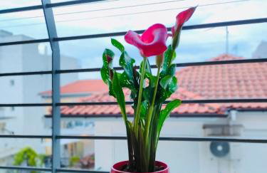 Side Sea View Apartment - Foto 42