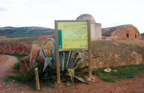 Live Arico El Cortijo Casa rural con Solarium & Terrace - Foto 38