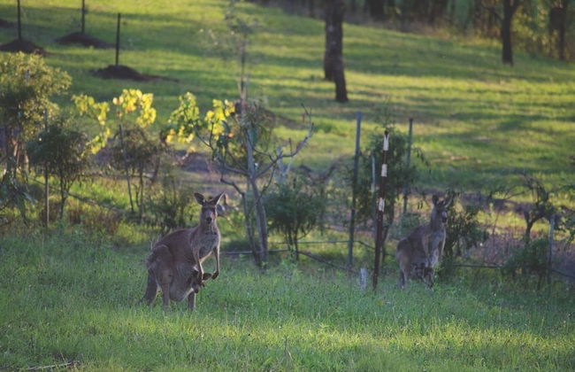 Englewood Ridge - Photo 16