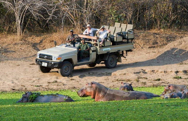 Safari de 10 días por lo mejor de Zambia - Foto 3