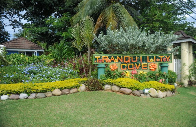 Tranquility Cove - Foto 36