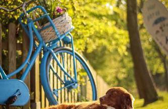 Ferienhof Ostarle - Foto 66