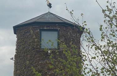 Turm auf altem Bauernhof - Foto 15