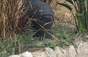 Magnifique vue sur la mer ... - Foto 76