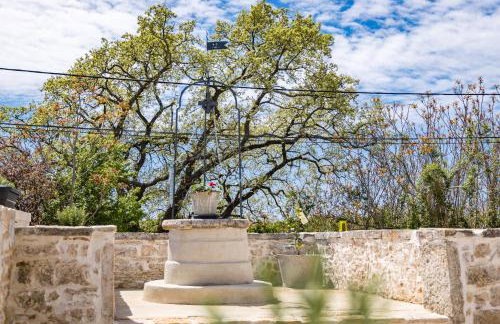 Nola Istria - Foto 67