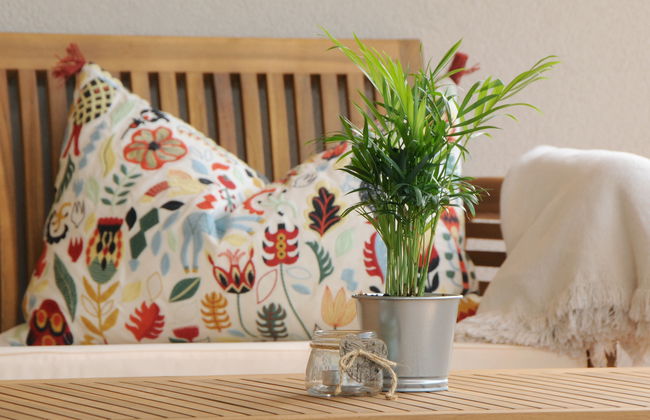 Wanglblick - Foto 19