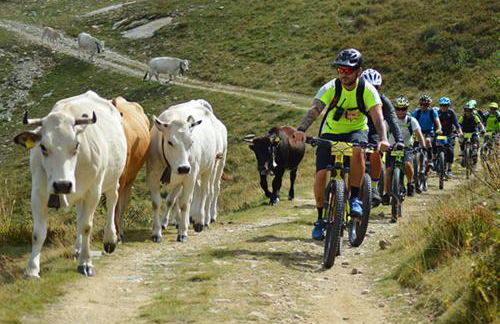 Rifugio Camparient - Foto 48