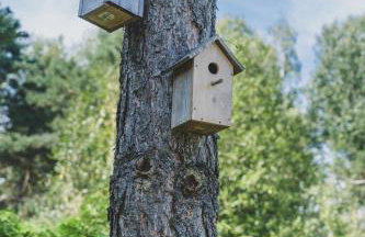 Leśna Enklawa - Foto 41