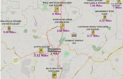 Dahlonega Escape, Wineries, Game Room, Hiking - Photo 64