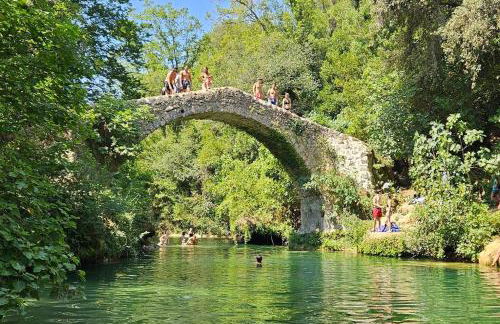 Mazet (maisonnette provençale) - Foto 15