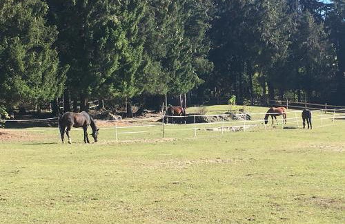 Ferienwohnung Reinhold - Foto 23