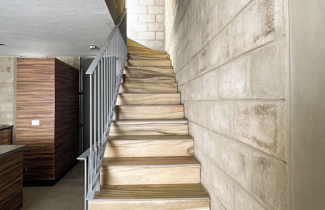 Tribu Centro Histórico - Foto 40