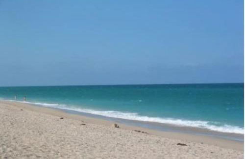 Heart of NPB - Foto 27