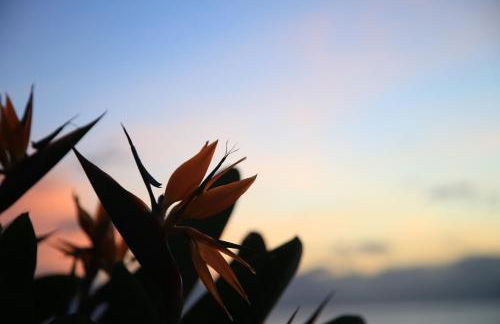 Penthouse Ventur - Foto 29