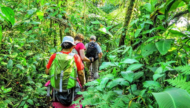 Billet pour le parc d'attraction Rainforest Atlantic - Photo 2