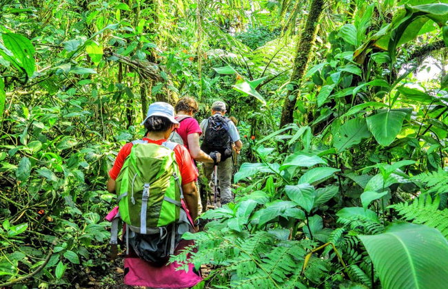 Rainforest Pacific Adventure Park - Photo 2