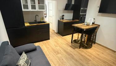 Papillon de cimiez - Foto 1