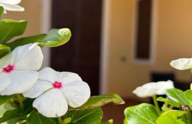 Case dell' Acqua - Foto 29