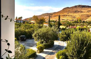 Theodora Hotel - Foto 38