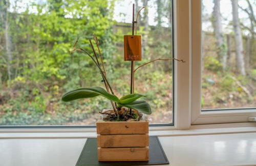 Amazing Guest Cottage in Nottingham with Parking! - Pass the Keys - Foto 30