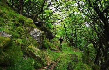 Over Torrs Cottage - Foto 31