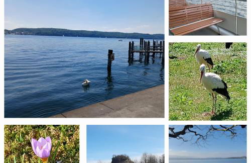 Apartment Flora - Foto 28