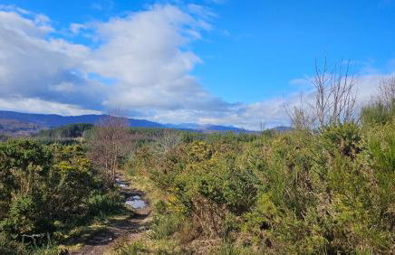 Linsmore Lodges - Foto 17