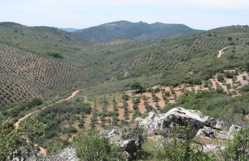 Cortijo "Era Grande 2" - Foto 24