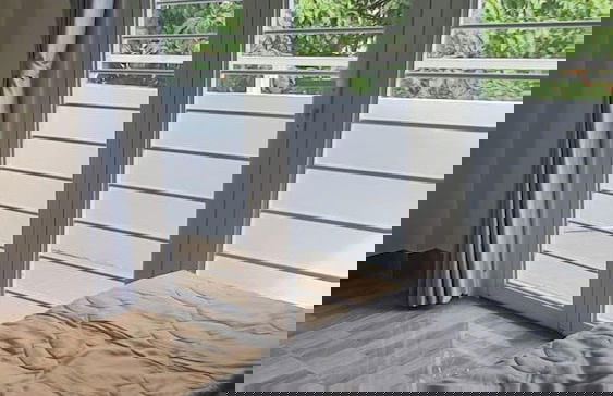 Can ho gia dinh Vung Tau - Vo Thi Sau - Foto 1