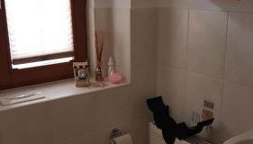 Ferien-Bungalow "Solarsiedlung" - Foto 4