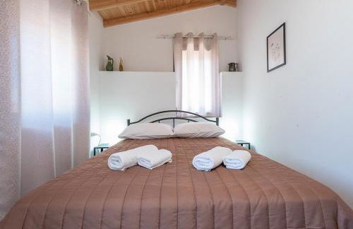 Ρίζες - Rizes - Foto 20