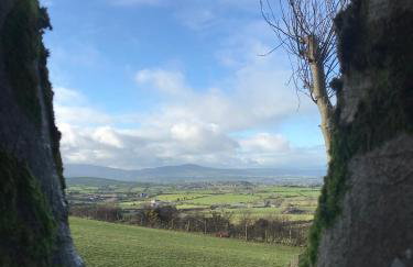 Mc Courts Cottage & Barn - Foto 50