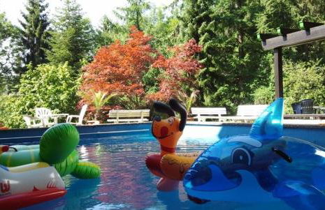 Appartementhaus Schwarzwaldblick - Foto 62