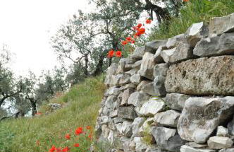 Agriturismo "Antico Frantoio" - Photo 35