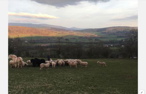 Ty Fferm Hen, Ancient Farmhouse, Coity Bach - Foto 15