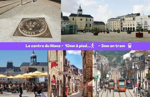 Flexy - T2 - L' Agate Grise - Le Mans - Foto 9