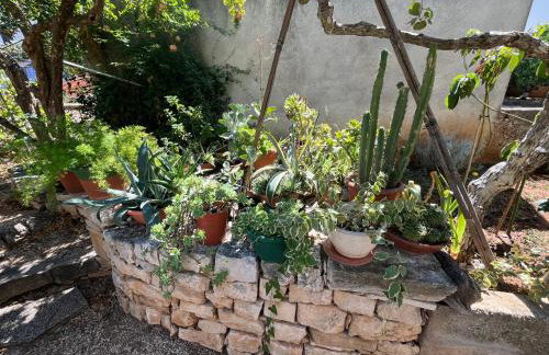 Apartman Mladenka - Foto 23