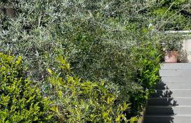 Propriété Malva appartement agava - Foto 2