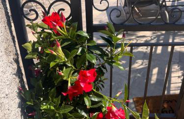 La FINESTRA sul MARE - Foto 33