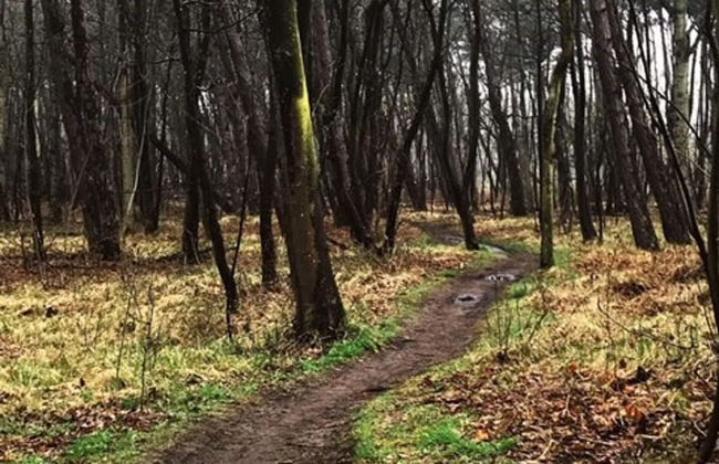 Relax in Your Holiday Home With Sauna, Near the Beach of Noordwijk - Foto 31