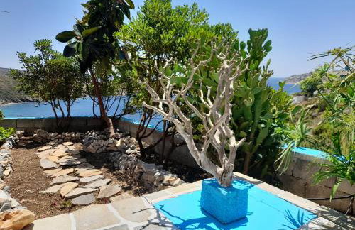 Studios RENA - Foto 18