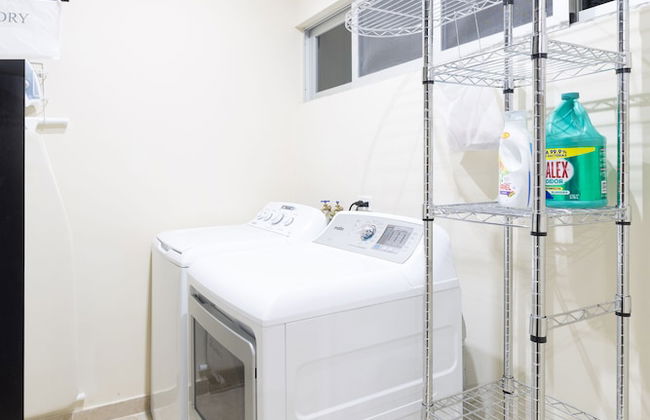 Meso Maya - Photo 50