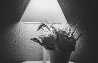 CHAPLIN Luxury Holiday House - Photo 36