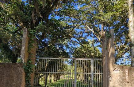 Recanto Bamboo Verde - Foto 28