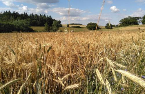 Ferienwohnung Auszeit am Edersee - Foto 19