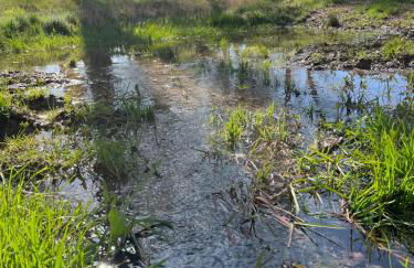 Casa del Espliego - Foto 32