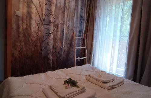 Siedlisko Gruszki Puszcza Białowieska - Foto 21