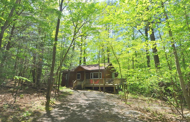 Cabin at Sleepy Creek - Charming Cabin - Foto 19